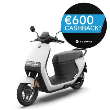 Segway eScooter E110S