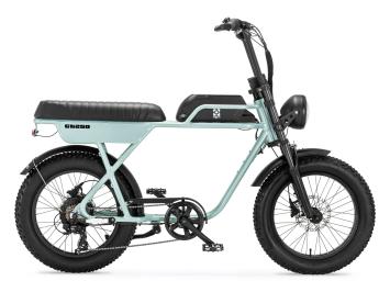 Fatbike AGM GT250