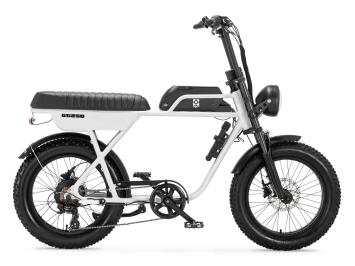 Fatbike AGM GT250